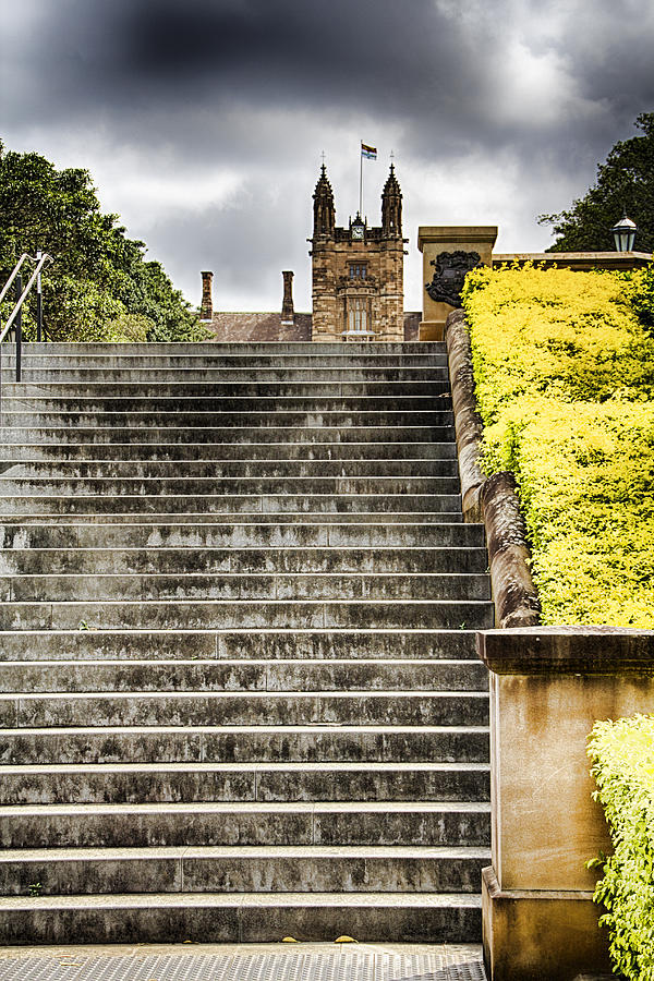 University of Sydney Steps Photograph by Douglas Barnard