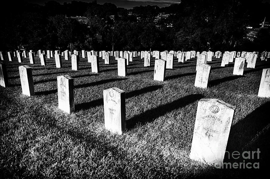 Unknown Soldier Cemetery Photograph by Danny Hooks