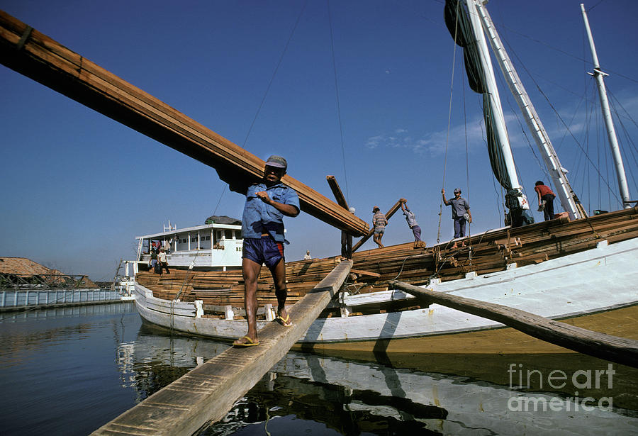 Unloading Boats Photograph by Ron Sanford