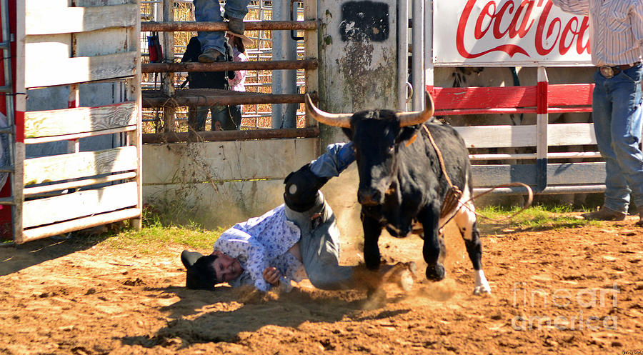 Unlucky Ride Photograph By Kris Wolf - Fine Art America