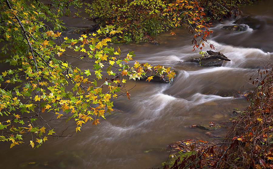 Lively Autumn Stream Photograph by Bill Chambers