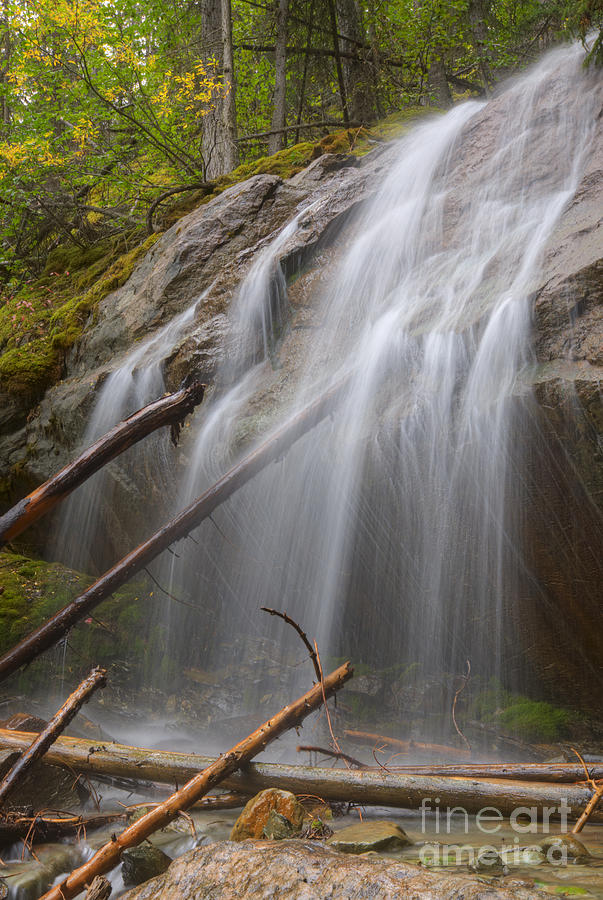 Unnamed waterfall in Jasper National Park Photograph by Dan Jurak