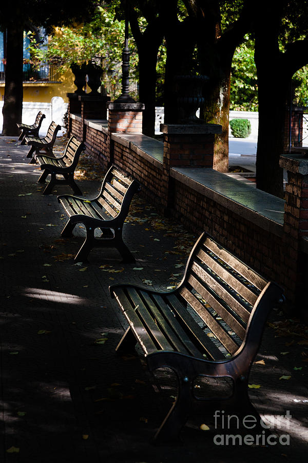 unoccupied park benches in the shade of trees in Palestrina Photograph by Peter Noyce