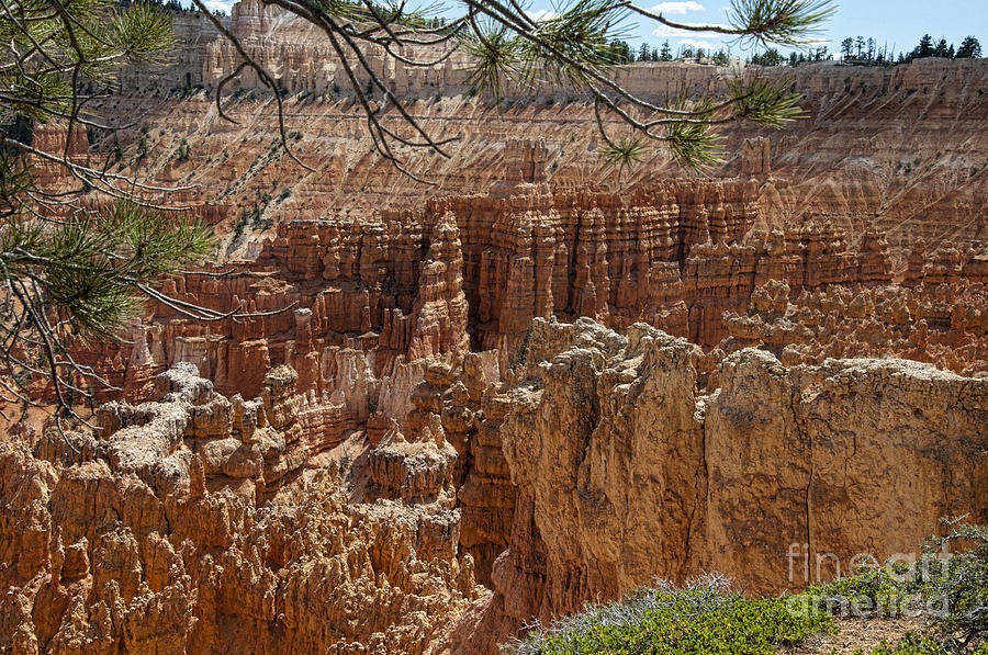 Erosion in Action at Bryce Photograph by Brenda Kean