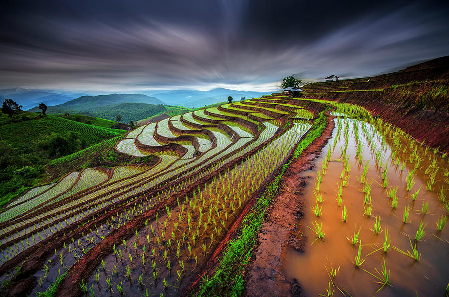 Landscape Photograph - Unseen Rice Field by 