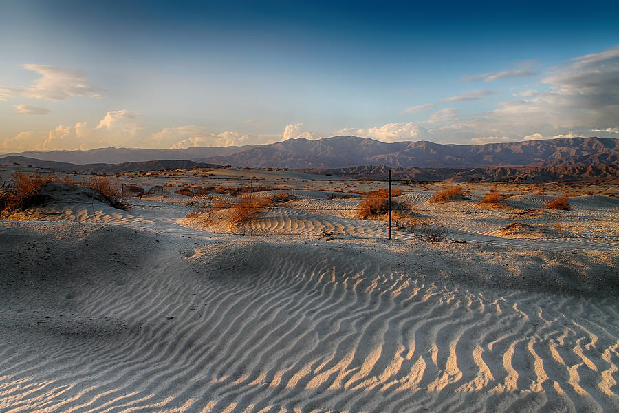 Desert Photograph - Unspoken by Laurie Search