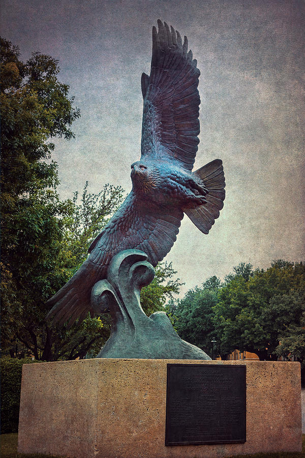 Eagle Photograph - UNT Eagle In High Places by Joan Carroll