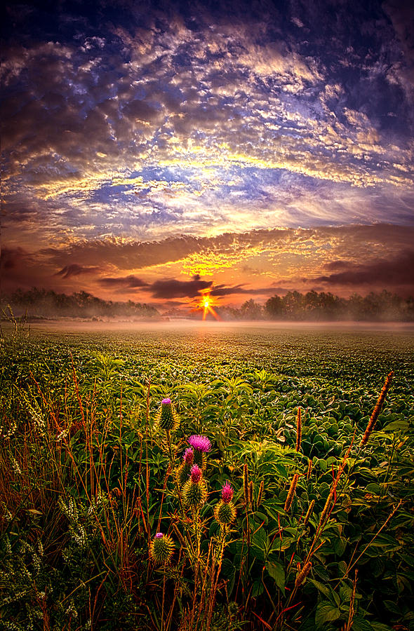 Nature Photograph - Until We Meet Again by Phil Koch