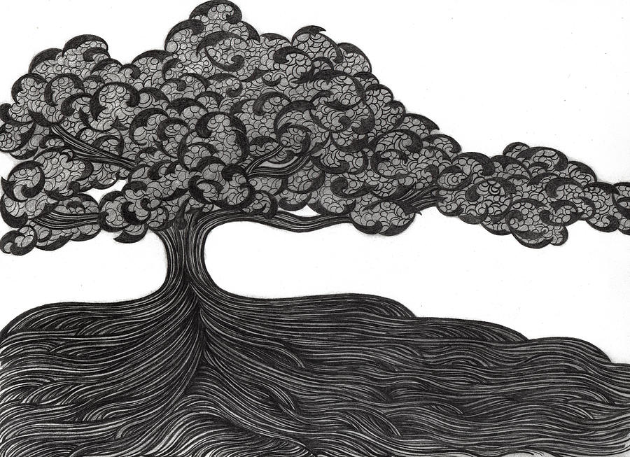Tree Drawing - Untitled 36 by Diana Durr Tree Drawing - Untitled 36 by Diana Durr