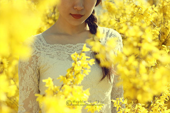 Yellow Flowers Photograph - Untitled 8682. by Sophia Adalaine Zhou