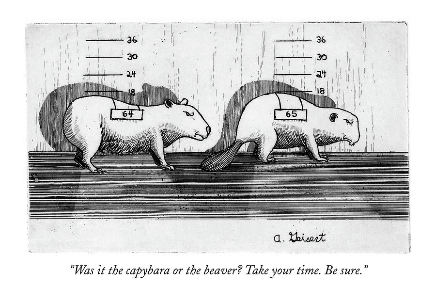 Was It The Capybara Or The Beaver? Take Drawing by Arthur Geisert