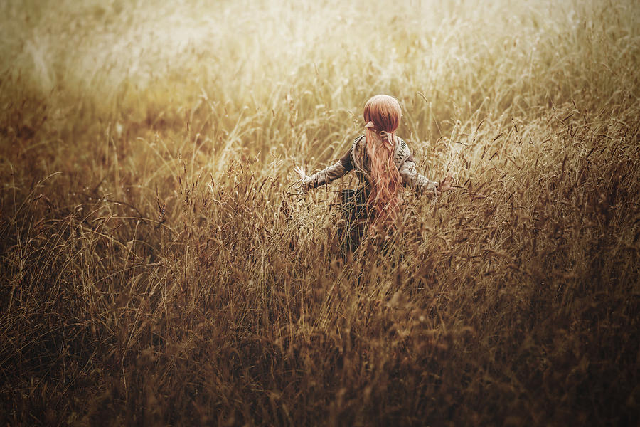 Free Photograph - Untitled by Suzuhiko Suzuki Free Photograph - Untitled by Suzuhiko Suzuki