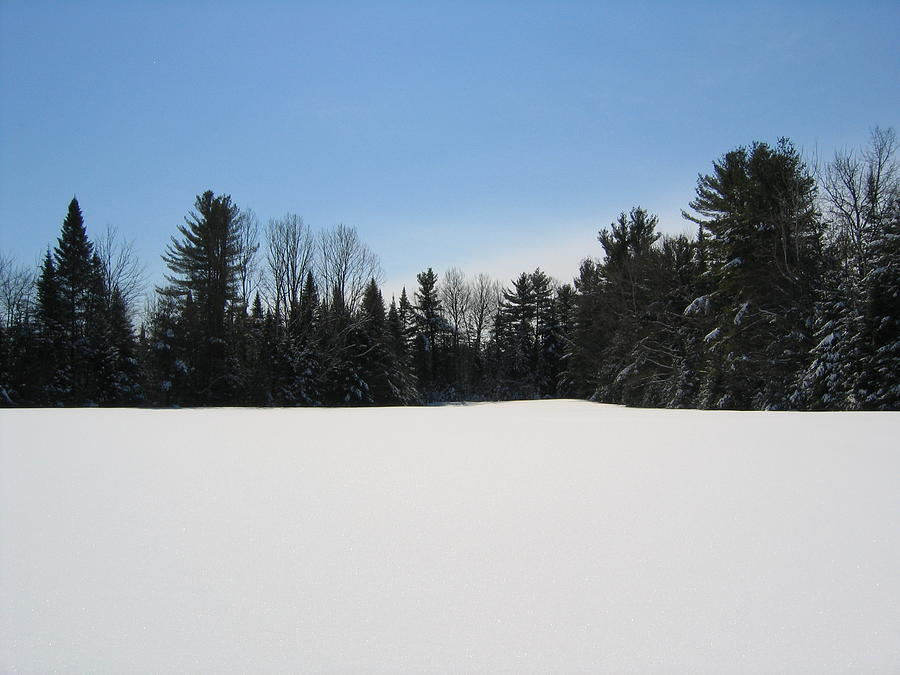 Untouched Snow Photograph by Stephanie Taylor - Fine Art America