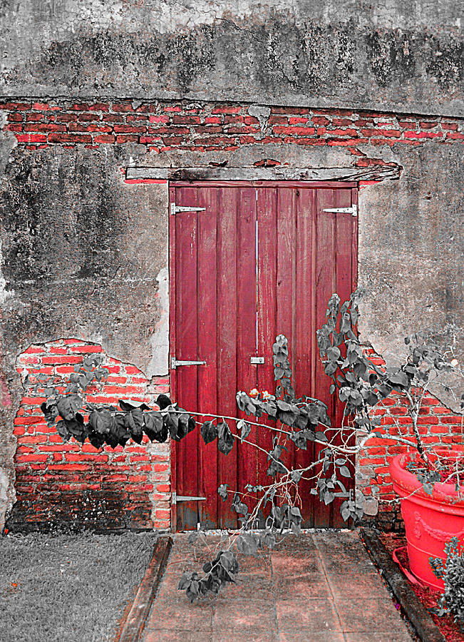 Unused Door Photograph by Janis Palma Fine Art America
