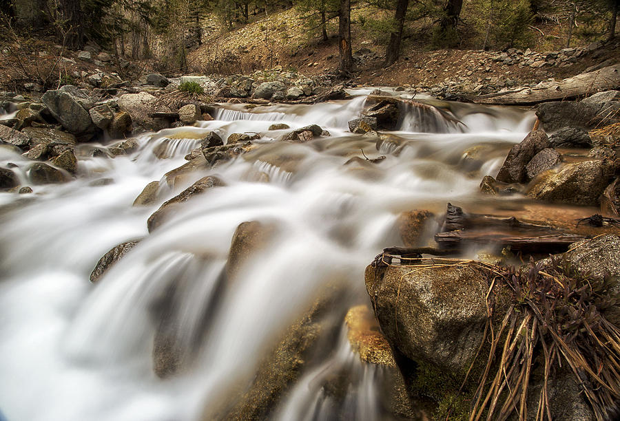Waterfall Photograph - Up a creek by Lisa Kidd