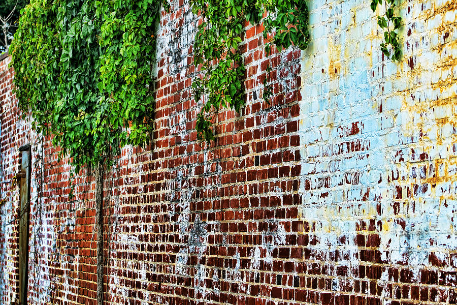 Up Against a Brick Wall Photograph by Kathy Clark