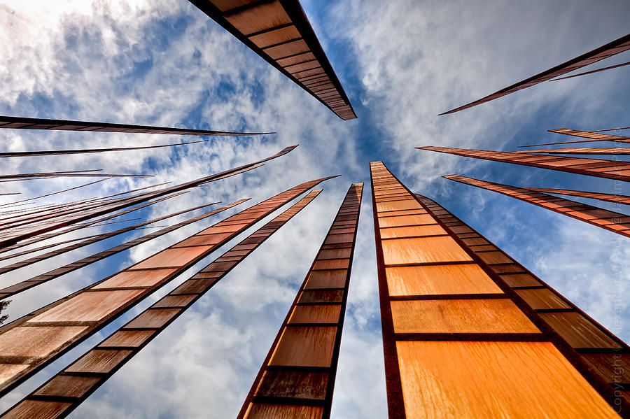 Up Photograph by Alexander Fedin Up Photograph by Alexander Fedin