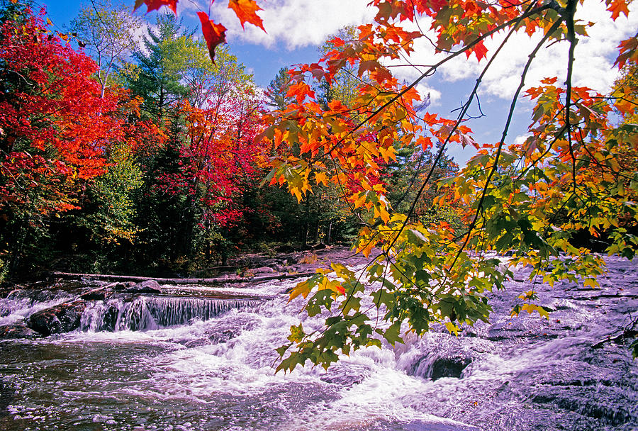 U.P. autumn colors Photograph by Dennis Cox