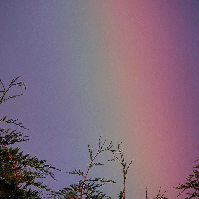 Nature Photograph - up Close To A Rainbow by Chris Smith