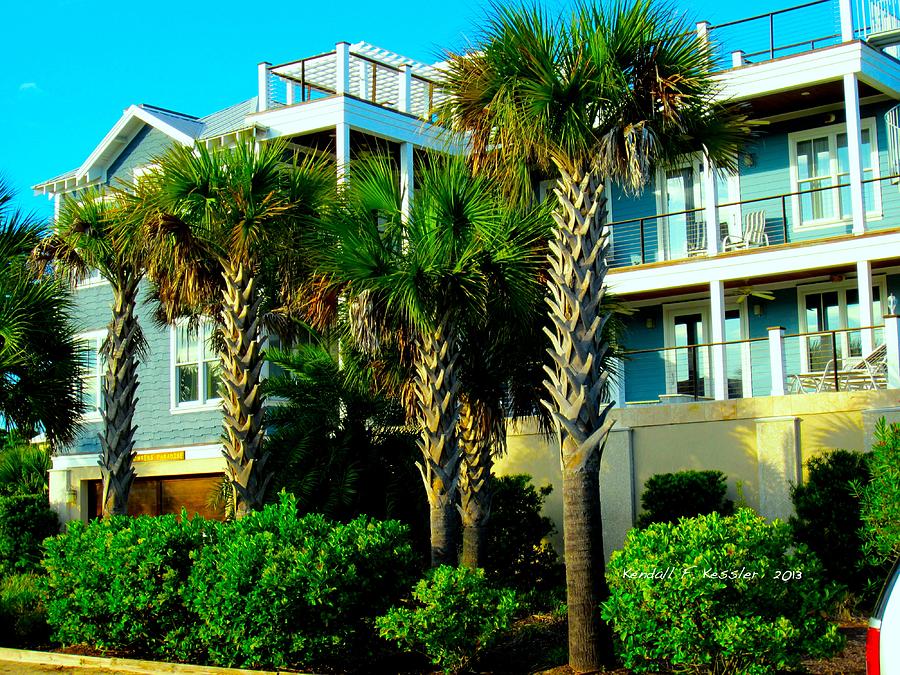 Up High at Isle of Palms Photograph by Kendall Kessler