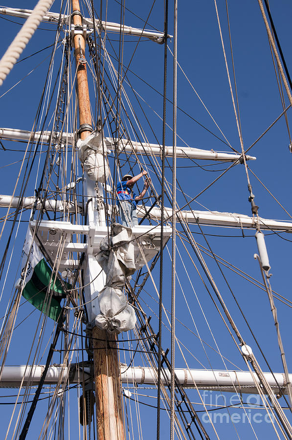 Up in the Rigging Photograph by Brenda Kean