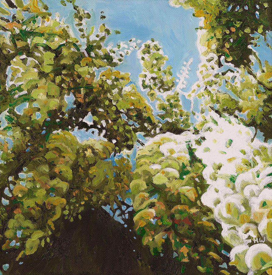 Wisteria Painting - Up into wisteria by Helen White Wisteria Painting - Up into wisteria by Helen White