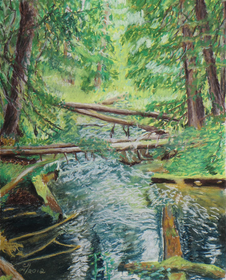 Montana Painting - Up Ross Creek by Cindy  Hierl