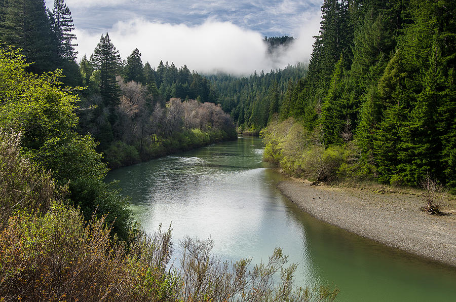 Up the Eel River Photograph by Greg Nyquist