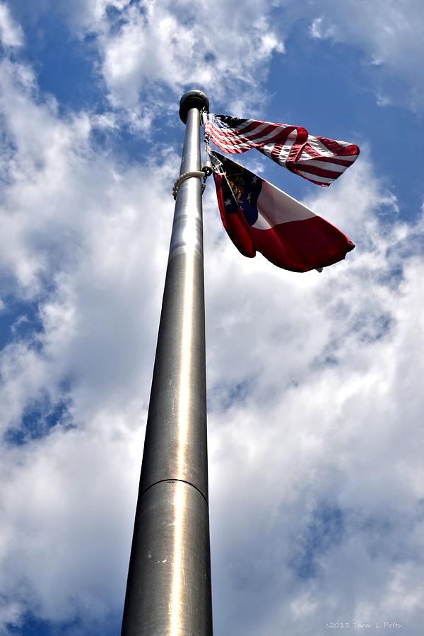 Up the Flag Pole Photograph by Tara Potts