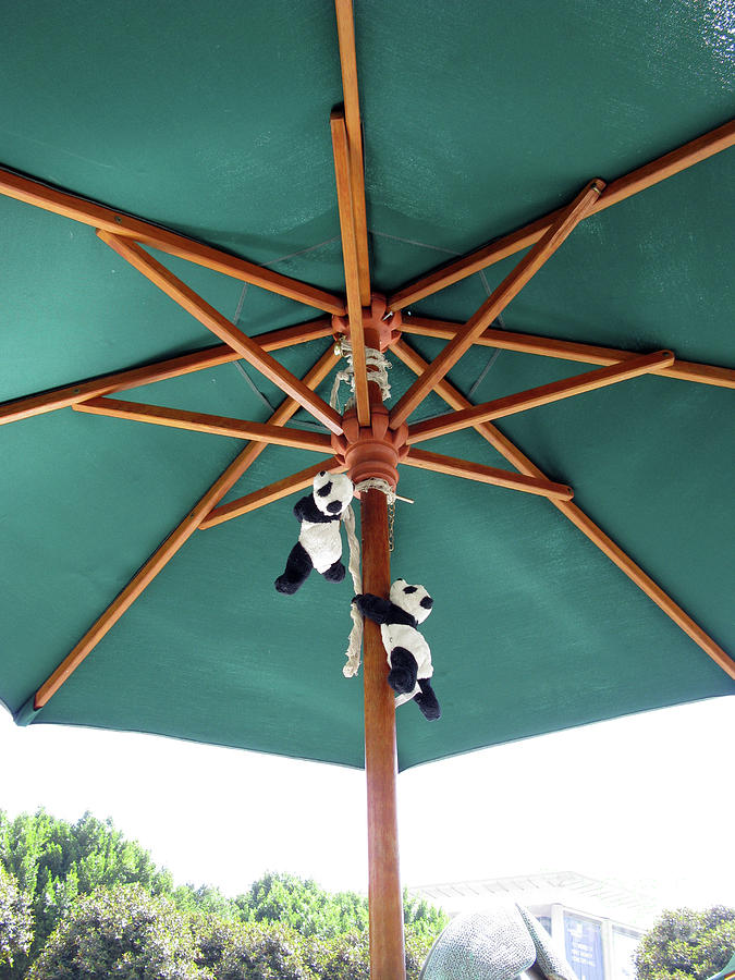 Summer Photograph - Up up we go. Pandas Under the Umbrella. by Ausra Huntington nee Paulauskaite