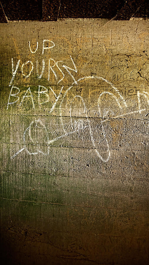 Baby Photograph - Up Yours Baby by Weston Westmoreland