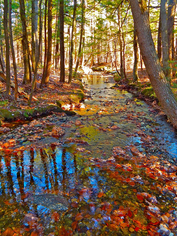 upland bike trail