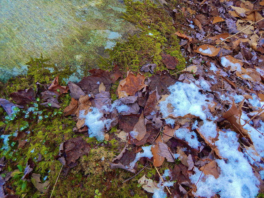 upland bike trail