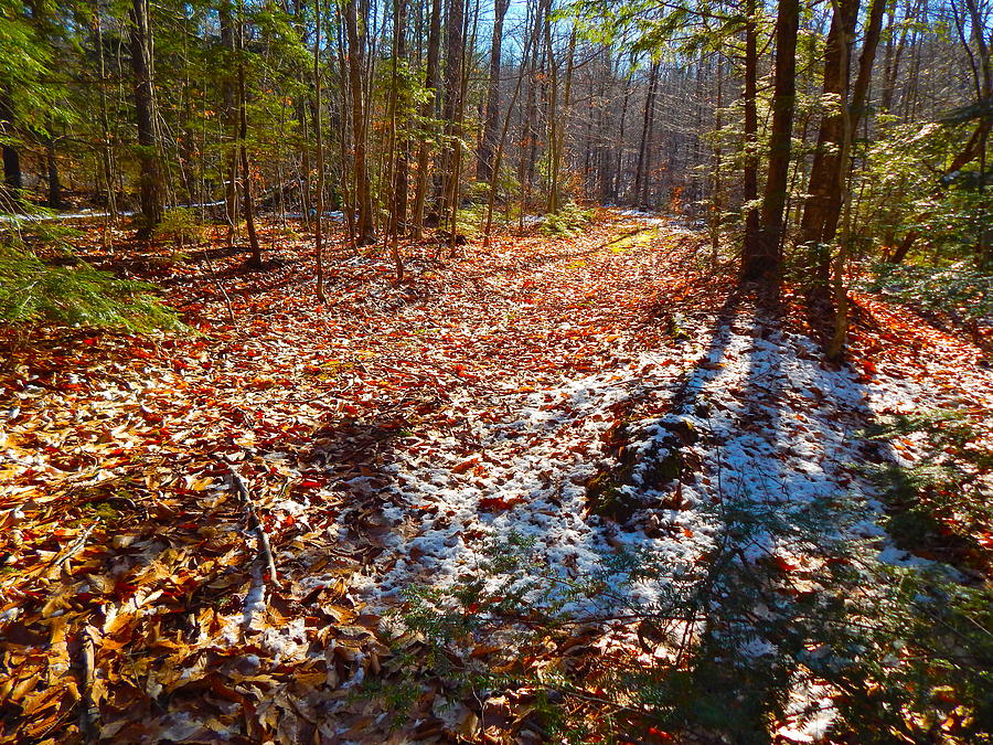 upland bike trail