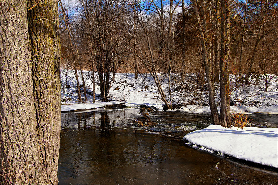 Upon a Cold Stream Photograph by Rachel Cohen