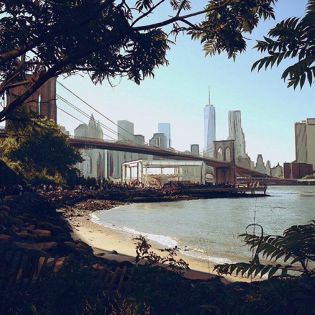 New York City Photograph - Upon The Brooklyn Shore by Natasha Marco