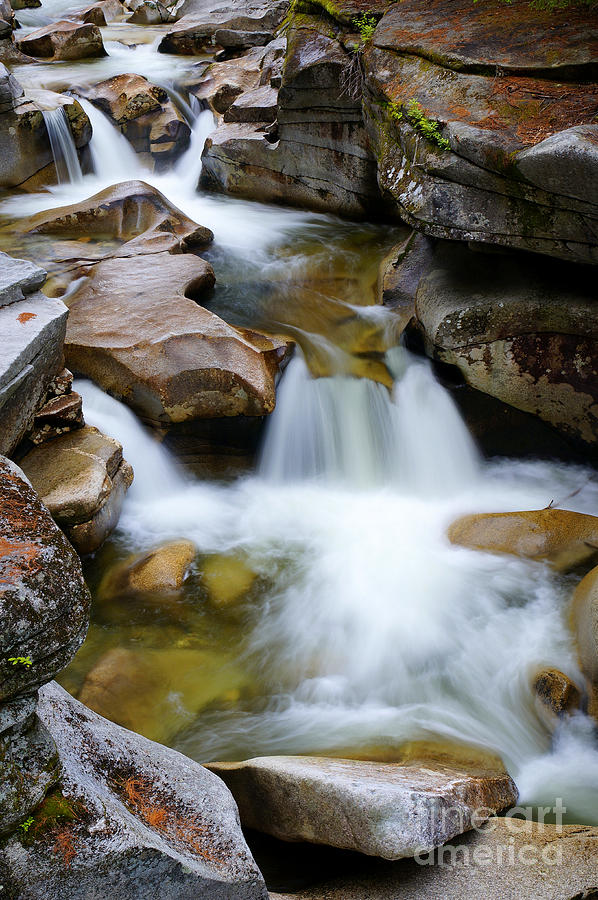 Upper Ammonoosuc Falls Photograph by Aaron Whittemore