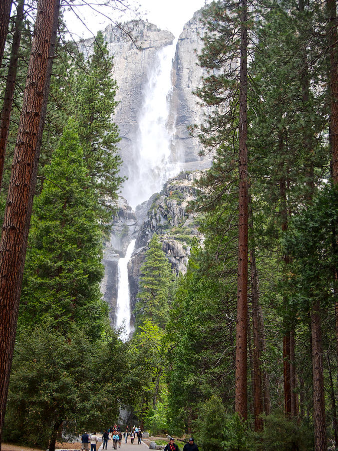 Upper and Lower Yosemite Falls in Spring, California Photograph by Ruth Hager