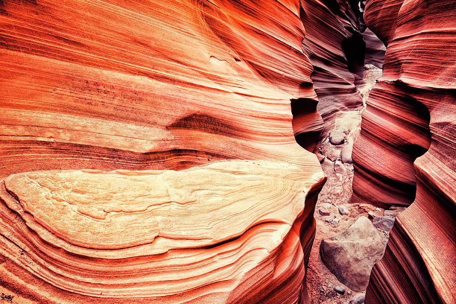 Antelope Canyon Photograph - Upper Antelope Canyon In Arizona, Usa by Powerofforever
