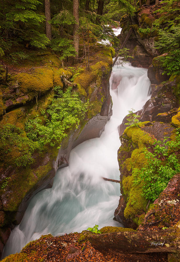 Upper Avalanche Gorge Waterfall Photograph by Fred J Lord