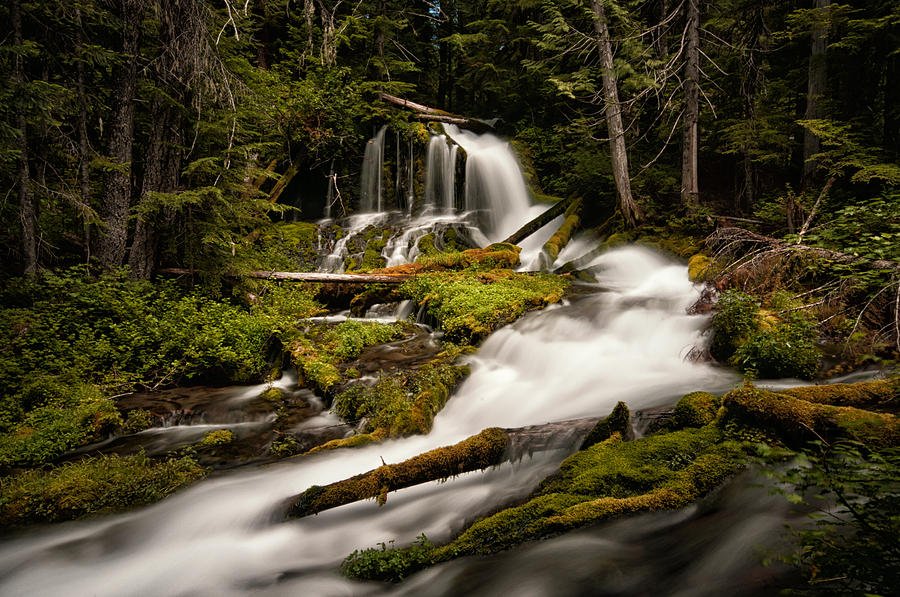 Upper Big Spring Creek Falls Photograph by Brian Bonham