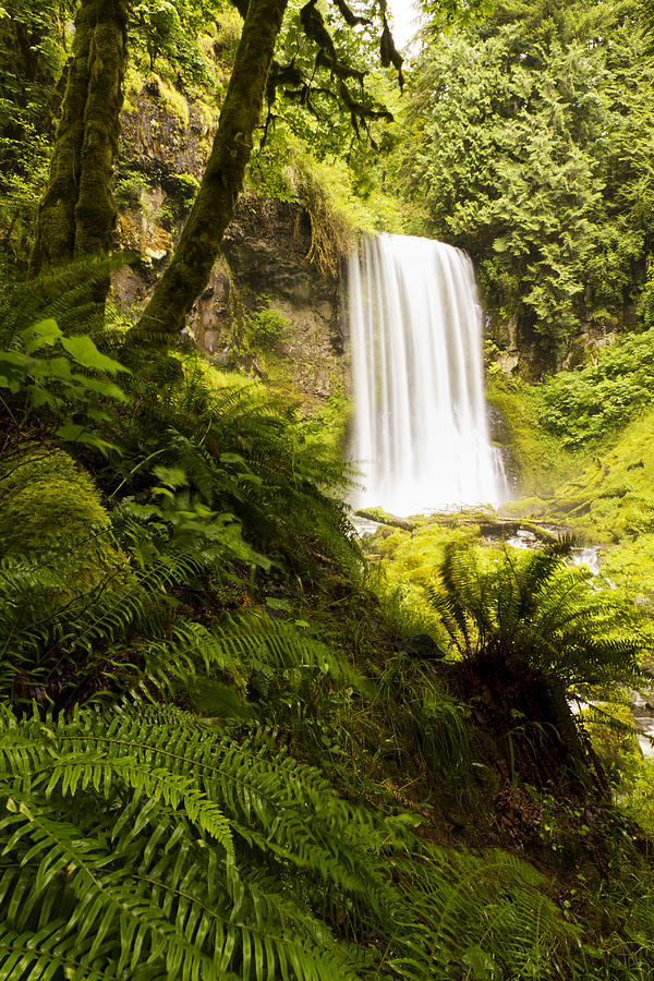 Waterfall Photograph - Upper Bridal Veil Falls 1 by Wade Crutchfield