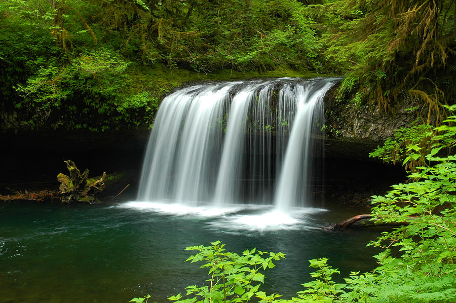 Upper Butte Creek Falls Photograph by Gene McKinley