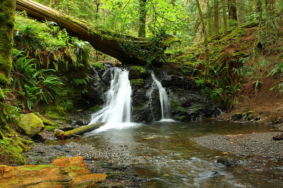 Upper Cascade Falls Photograph by Bettina Pickett - Fine Art America