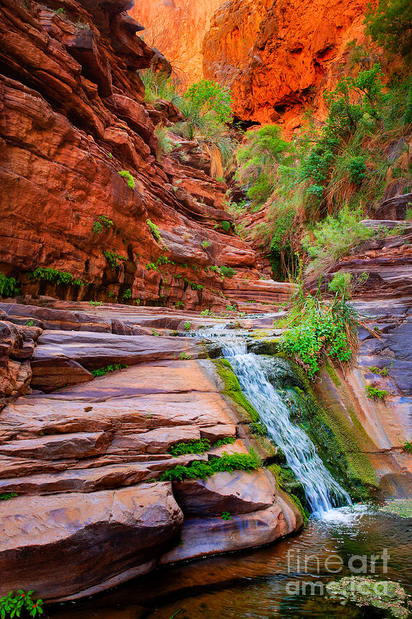 Grand Canyon National Park Photograph - Upper Elves Chasm Cascade by Inge Johnsson