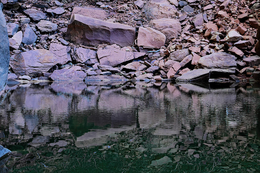 Zion Canyon Photograph - Upper Emerald Pool by Viktor Savchenko