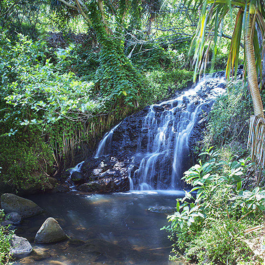 Upper Falls Queens Bath by Michael Yeager Upper Falls Queens Bath by Michael Yeager