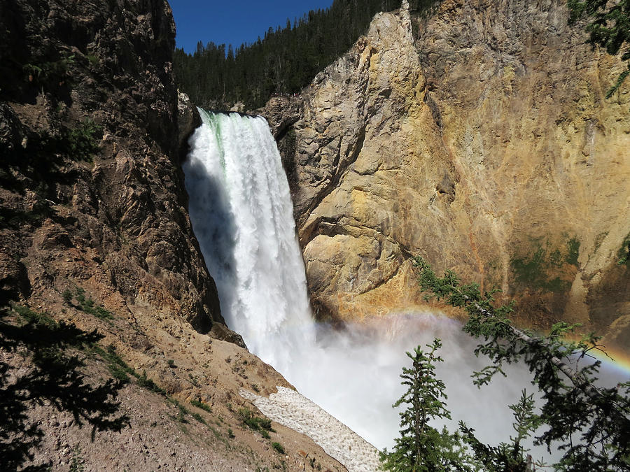 Upper Falls Yellowstone National Park Photograph by Laurel Powell