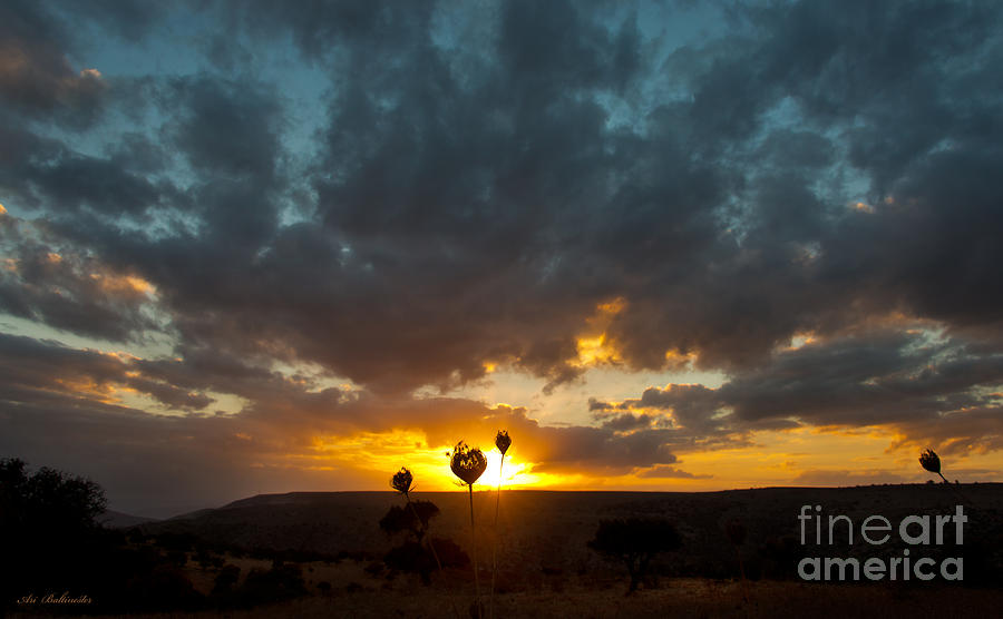 Upper  Galilee sunset 02 Photograph by Arik Baltinester