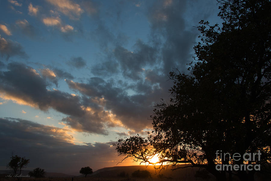 Upper  Galilee sunset Photograph by Arik Baltinester